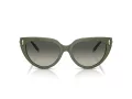 Tiffany TF 4195 835811 54 Women sunglasses