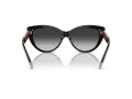 Tiffany TF 4196 80013C 56 Women sunglasses