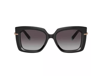 Tiffany TF 4199 80013C 53 Women sunglasses