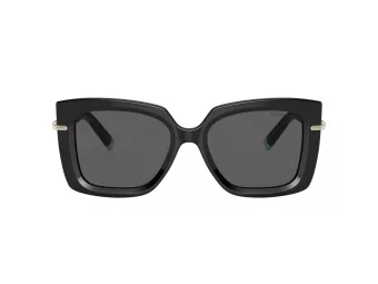 Tiffany TF 4199 8001S4 53 Women sunglasses