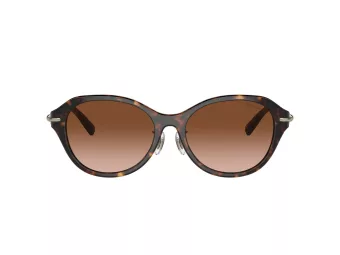 Tiffany TF 4210D 80153B 54 Women sunglasses