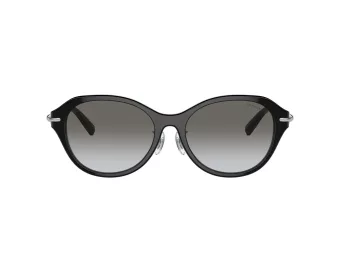 Tiffany TF 4210D 82853C 54 Women sunglasses