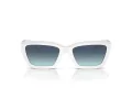 Tiffany TF 4213 83929S 54 Women sunglasses