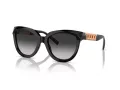 Tiffany TF 4215 80013C 53 Women sunglasses