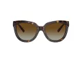 Tiffany TF 4215 8015T5 53 Women sunglasses