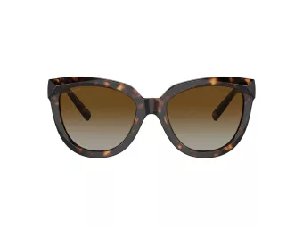 Tiffany TF 4215 8015T5 53 Women sunglasses