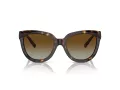 Tiffany TF 4215 8015T5 53 Women sunglasses