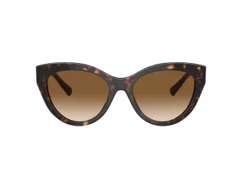 Tiffany TF 4220 801551 54 Women sunglasses