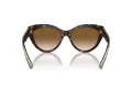 Tiffany TF 4220 801551 54 Women sunglasses