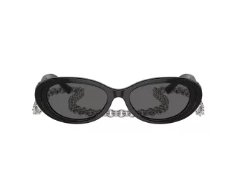 Tiffany TF 4221 8001S4 54 Women sunglasses