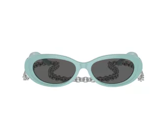 Tiffany TF 4221 8388S4 54 Women sunglasses