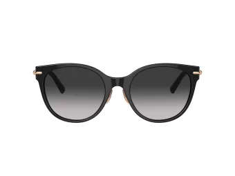 Tiffany TF 4223D 80013C 54 Women sunglasses