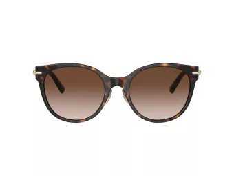 Tiffany TF 4223D 80153B 54 Women sunglasses