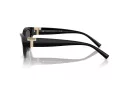 Tiffany TF 4225U 8001S4 54 Women sunglasses
