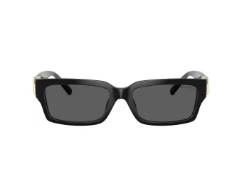 Tiffany TF 4226U 8001S4 56 Men, Women sunglasses