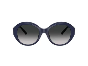 Tiffany TF 4227BU 83963C 53 Women sunglasses