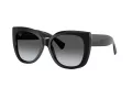 Tiffany TF 4229 8001T3 55 Women sunglasses