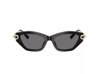 Tiffany TF 4231U 800181 53 Women sunglasses