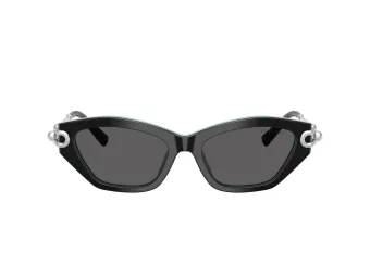 Tiffany TF 4231U 8055S4 53 Women sunglasses