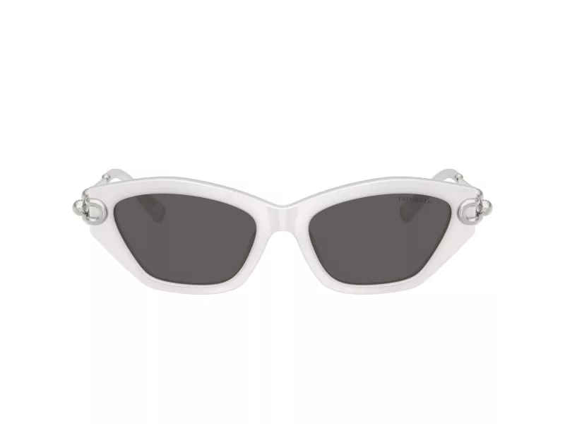 Tiffany TF 4231U 8437S4 53 Women sunglasses