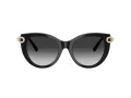 Tiffany TF 4232 80013C 53 Women sunglasses