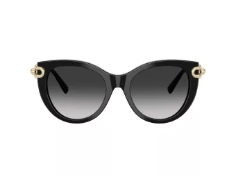 Tiffany TF 4232 80013C 53 Women sunglasses