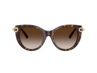 Tiffany TF 4232 80153B 53 Women sunglasses