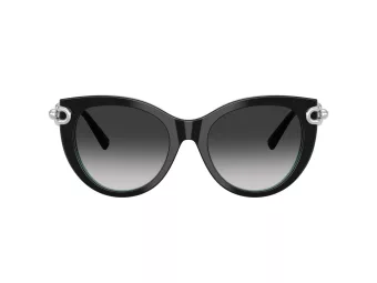 Tiffany TF 4232 80553C 53 Women sunglasses