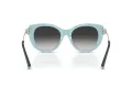 Tiffany TF 4232 80553C 53 Women sunglasses