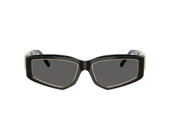 Tiffany TF 4234U 8001S4 55 Men, Women sunglasses