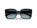 Tiffany TF 4235 83429S 55 Women sunglasses