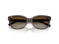 Tiffany TF 4237B 8015T5 55 Women sunglasses