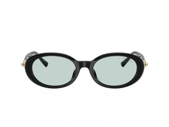 Tiffany TF 4242D 8001D9 54 Women sunglasses