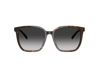 Tiffany TF 4244D 80153C 56 Women sunglasses