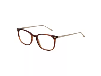 Taylor Morris TM 06 C2 49 Men, Women glasses
