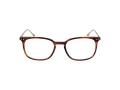Taylor Morris TM 06 C2 49 Men, Women glasses