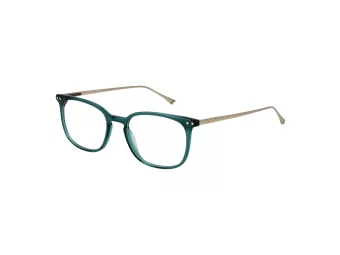 Taylor Morris TM 06 C4 49 Men, Women glasses