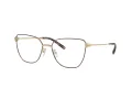 Tory Burch TY 1084 3356 53 Women glasses