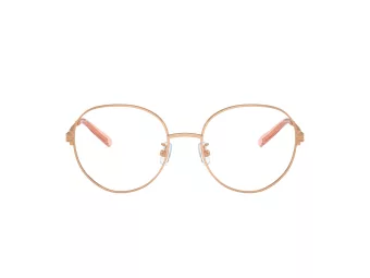 Tory Burch TY 1086 3353 52 Women glasses