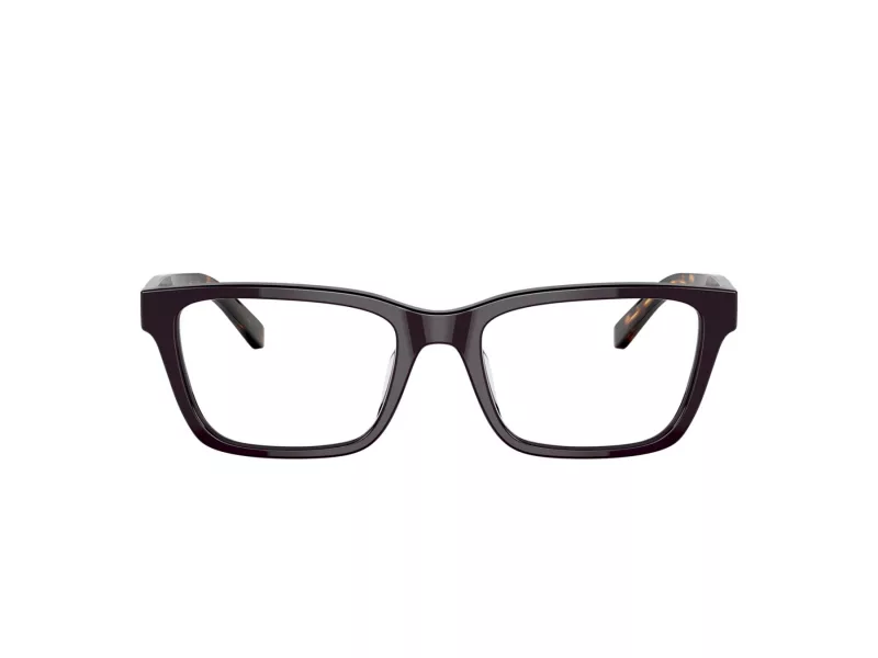 Tory Burch TY 2118U 1905 52 Women glasses
