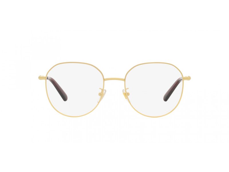 Versace VE 1282D 1491 53 Women glasses