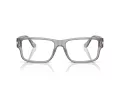 Versace VE 3342 593 55 Men glasses