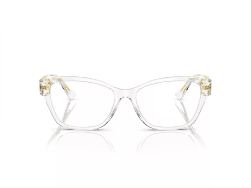 Versace VE 3344 148 54 Women glasses