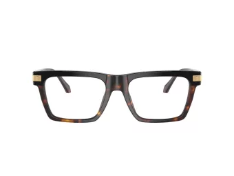 Versace VE 3354 5466 55 Men glasses