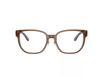 Versace VE 3360D 5028 54 Women glasses