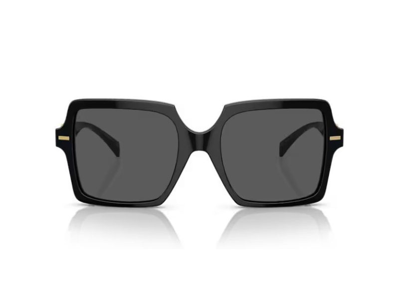 Versace VE 4441 GB1/87 55 Women sunglasses