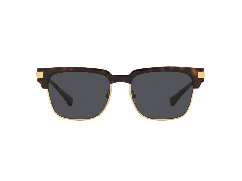 Versace VE 4447 108/87 55 Men sunglasses