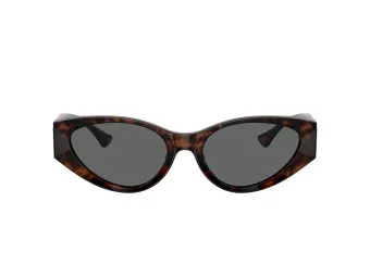 Versace VE 4454 542987 55 Women sunglasses