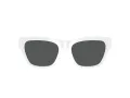 Versace VE 4457 314/87 55 Men sunglasses