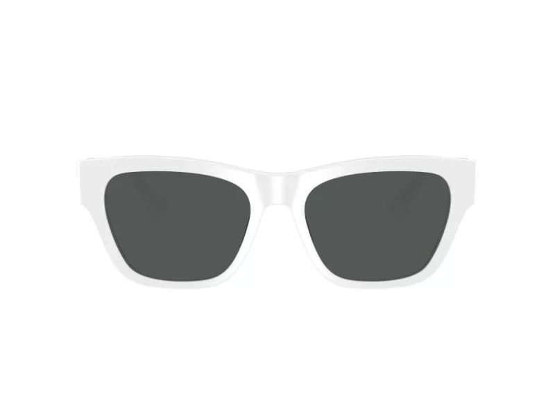 Versace VE 4457 314/87 55 Men sunglasses